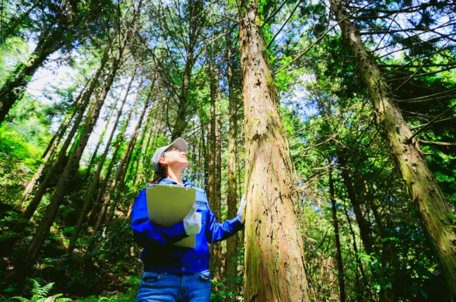 ○○○○○○○○○○○○○○○